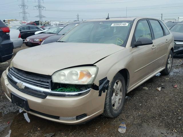1G1ZU64834F231842 - 2004 CHEVROLET MALIBU MAX 金色 照片 2