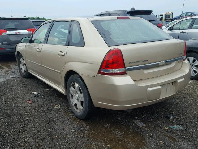1G1ZU64834F231842 - 2004 CHEVROLET MALIBU MAX 金色 照片 3