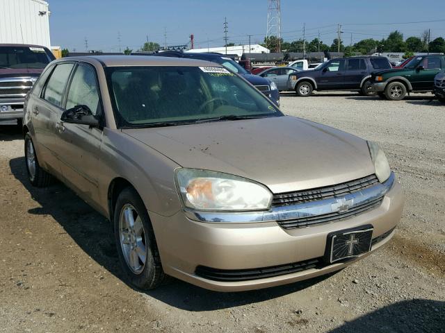 1G1ZT64865F150810 - 2005 CHEVROLET MALIBU MAX 金色 照片 1