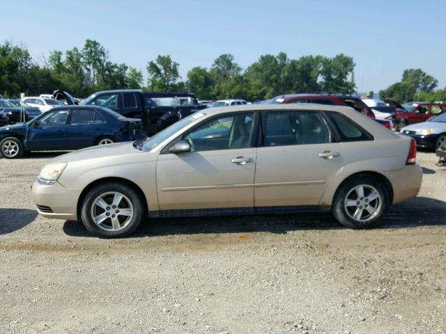 1G1ZT64865F150810 - 2005 CHEVROLET MALIBU MAX 金色 照片 10