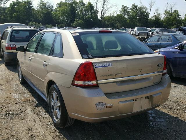 1G1ZT64865F150810 - 2005 CHEVROLET MALIBU MAX 金色 照片 3