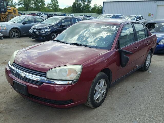 1G1ZT54845F220704 - 2005 CHEVROLET MALIBU LS მუქწითელი ფოტო 2