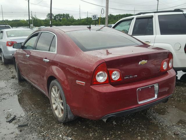 1G1ZE5E71AF264427 - 2010 CHEVROLET MALIBU LTZ 栗色 照片 3