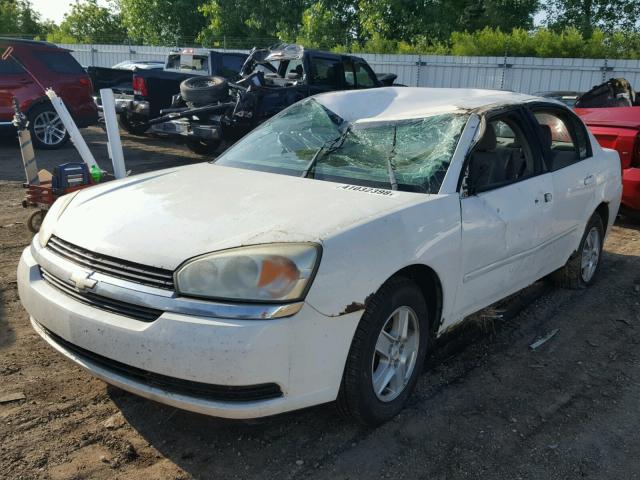 1G1ZT52835F230272 - 2005 CHEVROLET MALIBU LS Ağ foto 2