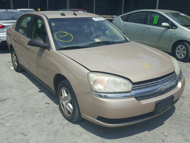 1G1ZT54825F219180 - 2005 CHEVROLET MALIBU LS თაფლისფერი ფოტო 1