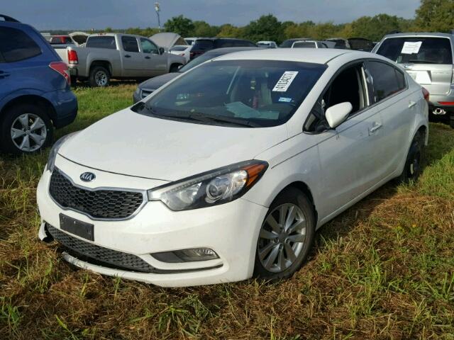 KNAFX4A88E5103496 - 2014 KIA FORTE WHITE photo 2