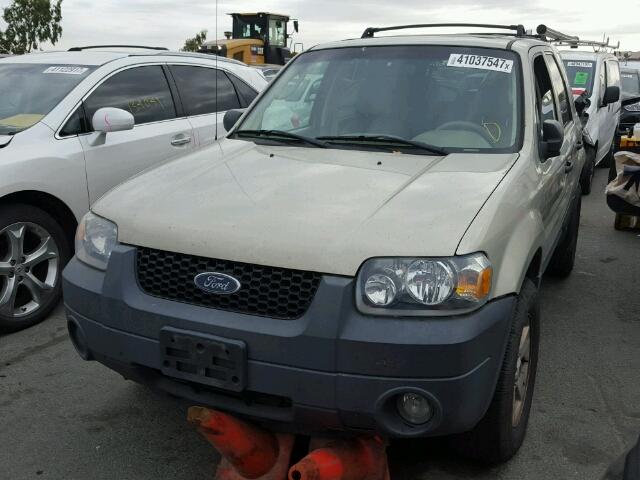 1FMCU93145DA25909 - 2005 FORD ESCAPE XLT TAN photo 2