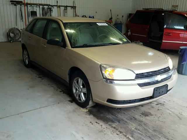 1G1ZT62874F156813 - 2004 CHEVROLET MALIBU MAX ოქროსფერი ფოტო 1