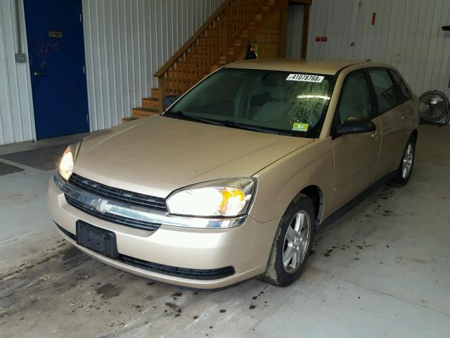 1G1ZT62874F156813 - 2004 CHEVROLET MALIBU MAX ოქროსფერი ფოტო 2
