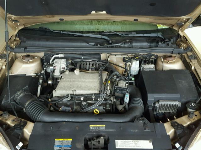 1G1ZT62874F156813 - 2004 CHEVROLET MALIBU MAX ოქროსფერი ფოტო 7