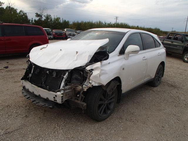 2T2BK1BA1DC169594 - 2013 LEXUS RX 350 WHITE photo 2