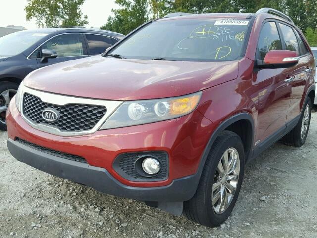 5XYKUDA23BG055169 - 2011 KIA SORENTO EX RED photo 2