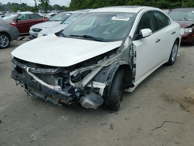 1N4AA5AP3AC836272 - 2010 NISSAN MAXIMA S WHITE photo 2