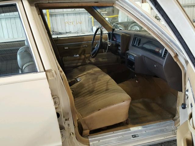 1G1AW69K2BK509226 - 1981 CHEVROLET MALIBU CLA BEIGE photo 5