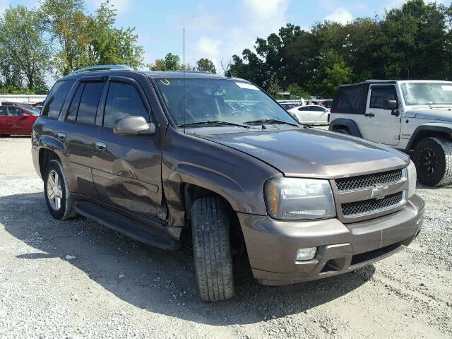 1GNDS13S382239810 - 2008 CHEVROLET TRAILBLAZE BROWN photo 1