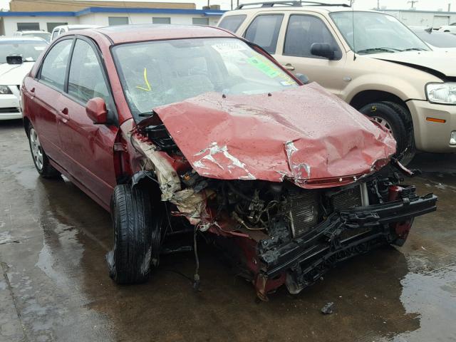 KNAFE221695590280 - 2009 KIA SPECTRA EX MAROON photo 1