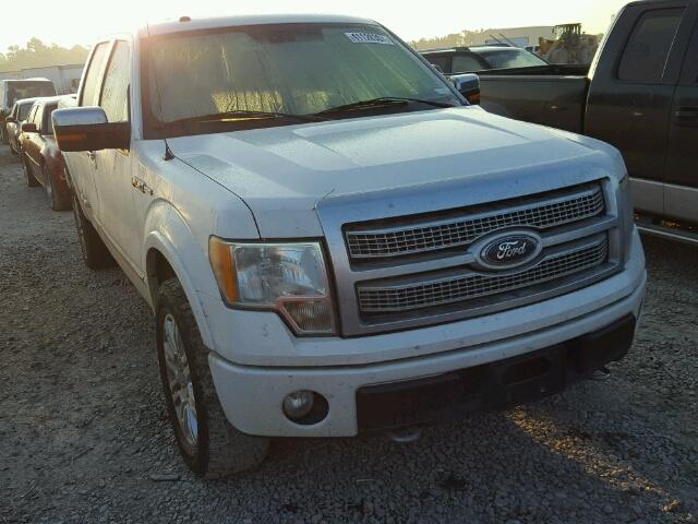 1FTFW1EV6AFD29268 - 2010 FORD F150 WHITE photo 1