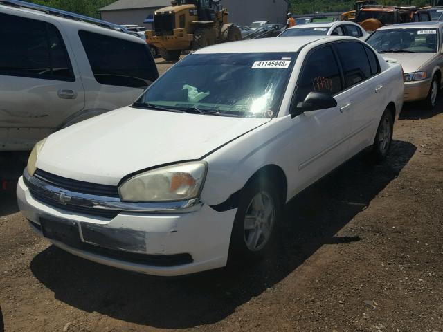 1G1ZT52815F259141 - 2005 CHEVROLET MALIBU LS WHITE photo 2