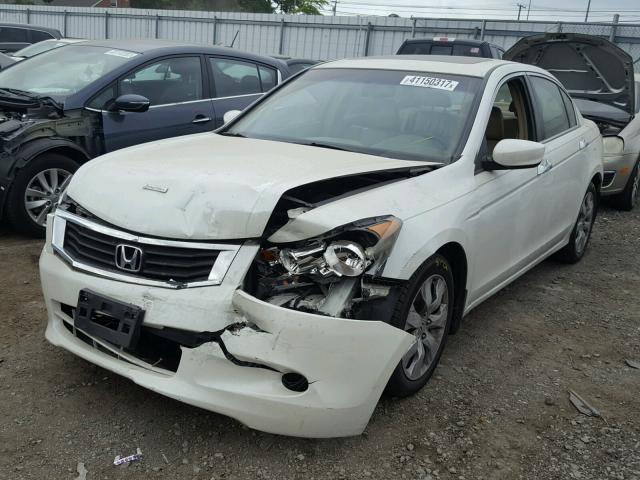 1HGCP36889A033697 - 2009 HONDA ACCORD EXL WHITE photo 2