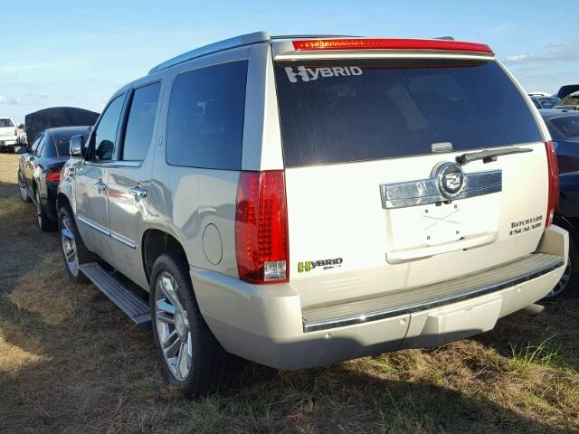 1GYFC33519R100203 - 2009 CADILLAC ESCALADE CREAM photo 3