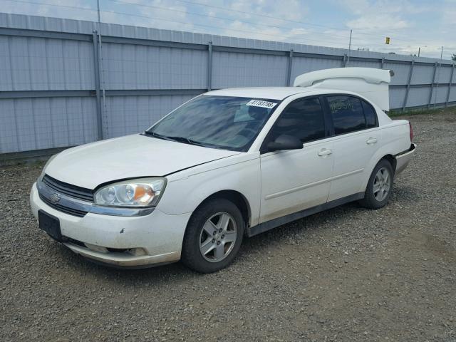 1G1ZT54805F233918 - 2005 CHEVROLET MALIBU LS WHITE photo 2