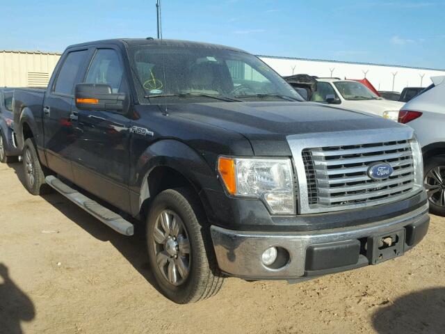 1FTEW1C85AKA66142 - 2010 FORD F150 BLACK photo 1