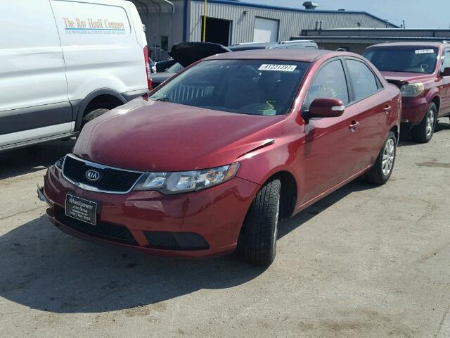 KNAFU4A28A5047784 - 2010 KIA FORTE EX RED photo 2