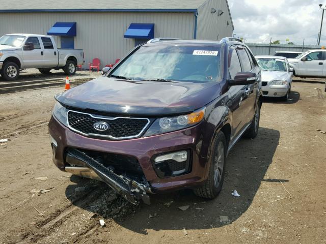 5XYKWDA20BG156888 - 2011 KIA SORENTO SX BURGUNDY photo 2