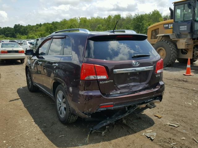 5XYKWDA20BG156888 - 2011 KIA SORENTO SX BURGUNDY photo 3