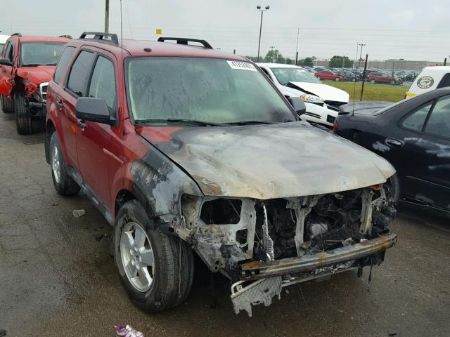 1FMCU0D76BKC51410 - 2011 FORD ESCAPE XLT RED photo 1