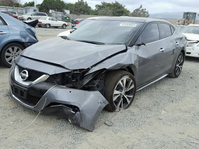 1N4AA6AP6GC403270 - 2016 NISSAN MAXIMA 3.5 GRAY photo 2