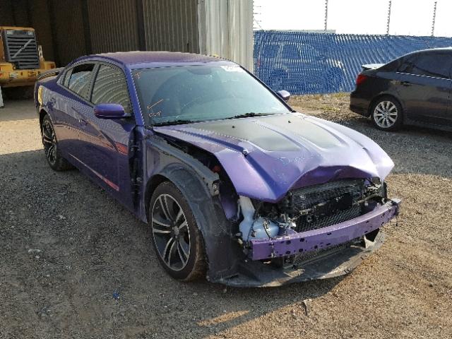 2C3CDXGJ6DH693008 - 2013 DODGE CHARGER SU PURPLE photo 1