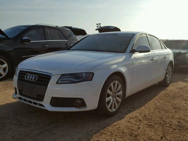 WAUEFAFL3BN056190 - 2011 AUDI A4 WHITE photo 2