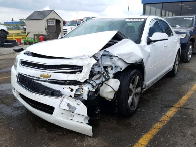 1G1ZC5E1XBF233275 - 2011 CHEVROLET MALIBU 1LT 白色 照片 2