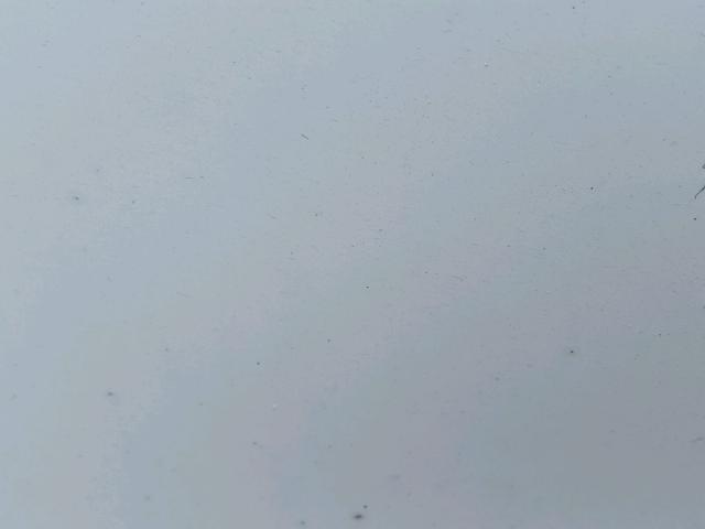 1UYVS2530GG663005 - 2016 UTILITY VAN WHITE photo 10