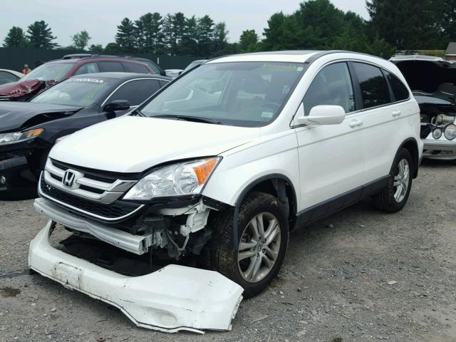 5J6RE4H73AL024076 - 2010 HONDA CR-V EXL WHITE photo 2