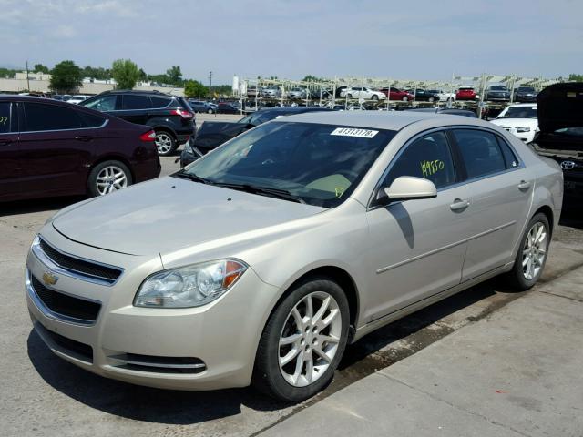 1G1ZH57B894205083 - 2009 CHEVROLET MALIBU 1LT 米色 照片 2