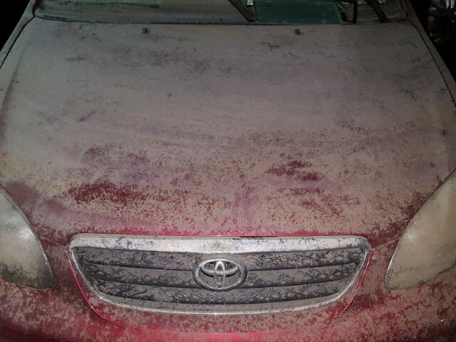 1NXBR32E95Z445969 - 2005 TOYOTA COROLLA RED photo 7