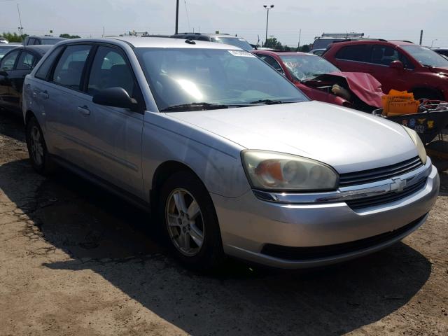 1G1ZT62894F215876 - 2004 CHEVROLET MALIBU MAX SILVER photo 1