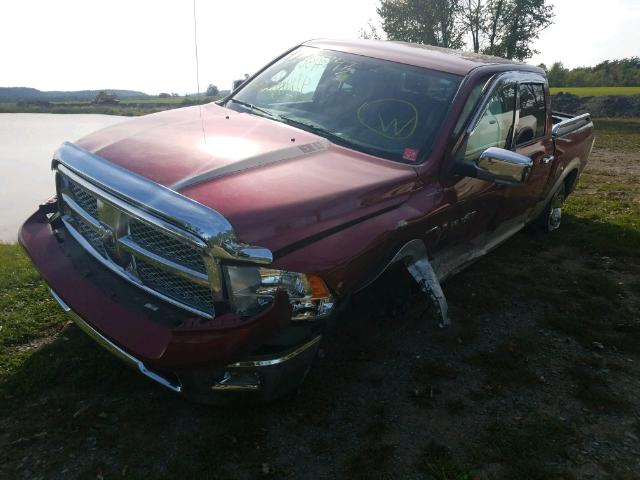 1C6RD7NT3CS247391 - 2012 DODGE RAM 1500 L MAROON photo 2