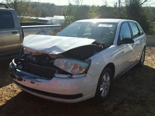 1G1ZT62895F116816 - 2005 CHEVROLET MALIBU MAX თეთრი ფოტო 2