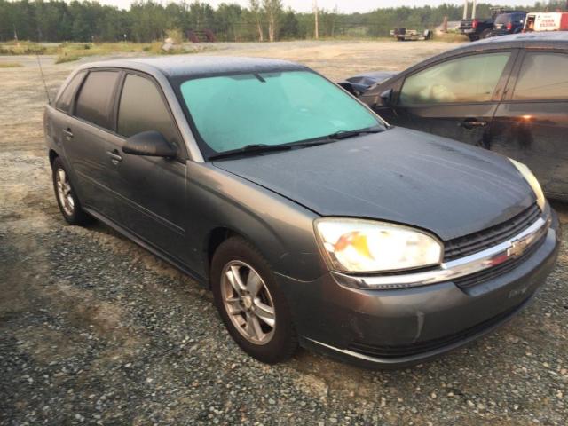 1G1ZT62805F238075 - 2005 CHEVROLET MALIBU MAX GRAY photo 1