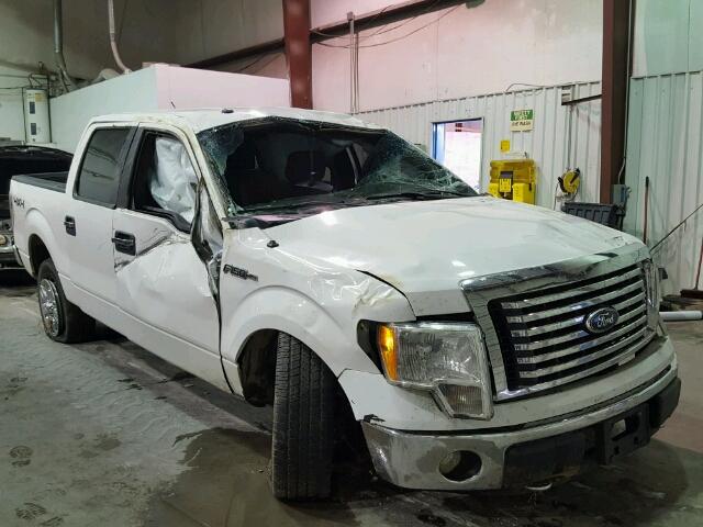 1FTFW1EFXCKD68156 - 2012 FORD F150 SUPER WHITE photo 1