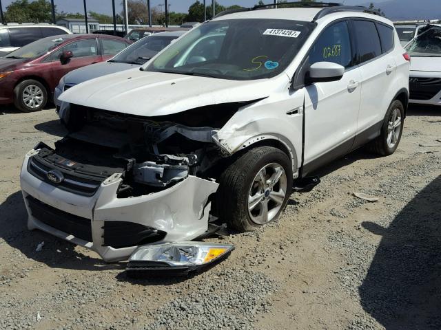 1FMCU0GX8EUC69962 - 2014 FORD ESCAPE WHITE photo 2