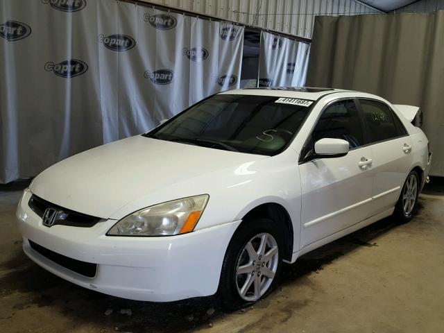 1HGCM66533A013610 - 2003 HONDA ACCORD EX WHITE photo 2