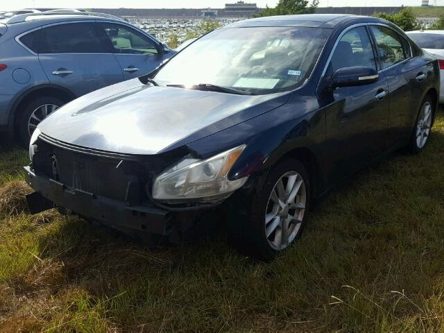 1N4AA5AP7AC849820 - 2010 NISSAN MAXIMA S Niebieski zdjęcie 2