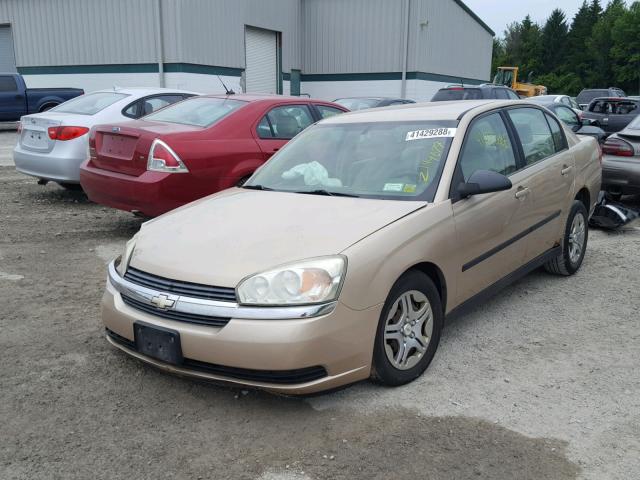 1G1ZS52F85F221598 - 2005 CHEVROLET MALIBU TAN photo 2