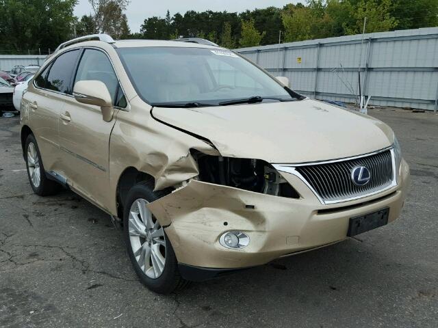 JTJBC1BA7A2411944 - 2010 LEXUS RX GOLD photo 1