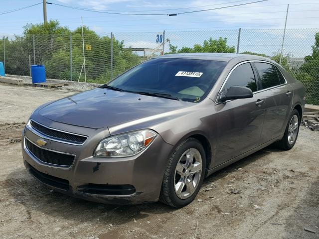 1G1ZA5EU6CF283253 - 2012 CHEVROLET MALIBU LS ყავისფერი ფოტო 2