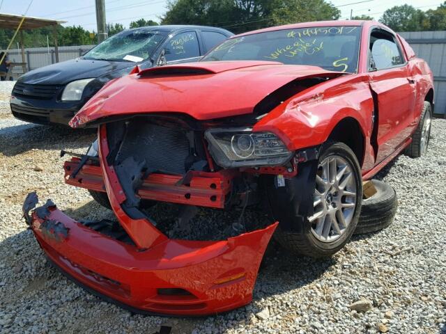 1ZVBP8AM0D5228929 - 2013 FORD MUSTANG RED photo 2